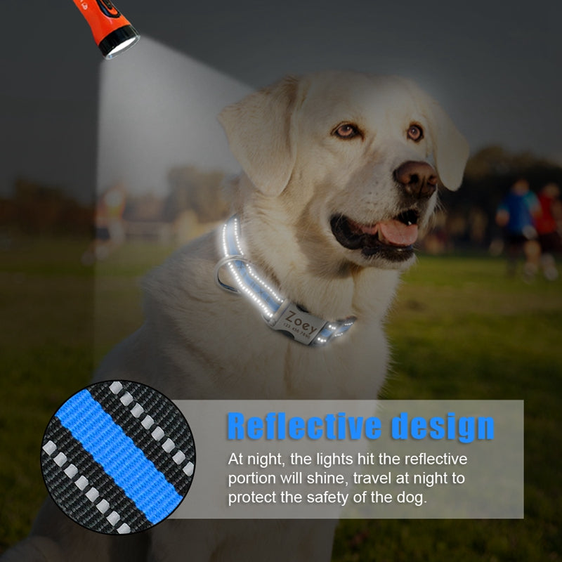 Custom Reflective Pet Leash Tag Name